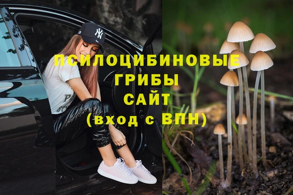 кокаин перу Аркадак