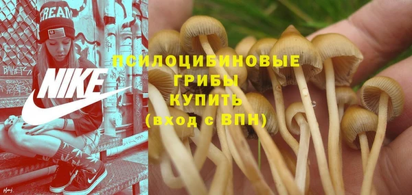 кокаин перу Аркадак