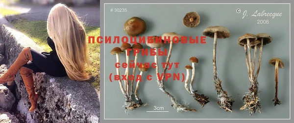МДМА Арсеньев