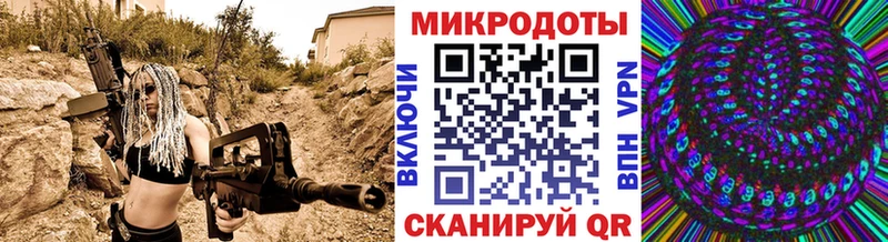 Псилоцибиновые грибы Psilocybe  где найти   Петровск-Забайкальский 